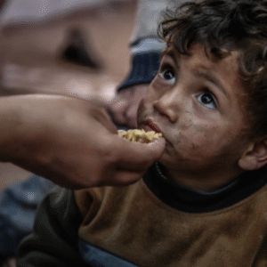 Provide Food Aid to Gaza